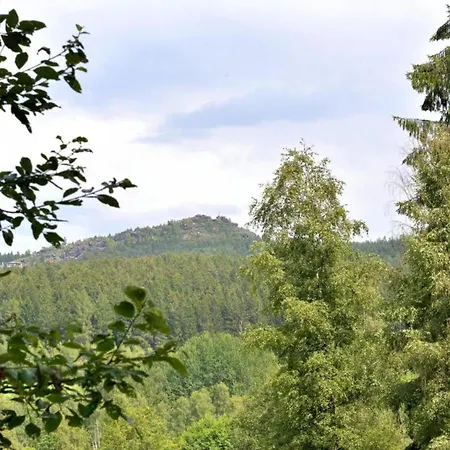 In The Bavarian Forest With Balcony Apartment