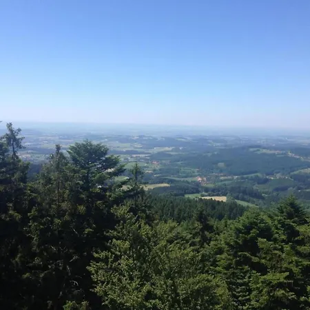 In The Bavarian Forest With Balcony Drachselsried