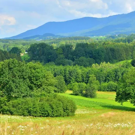 In The Bavarian Forest With Balcony