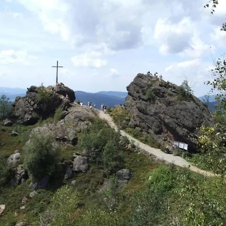 In The Bavarian Forest With Balcony Apartment