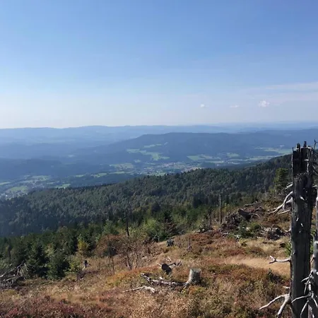 Im Bayerischen Wald Mit Balkon Апартаменты *